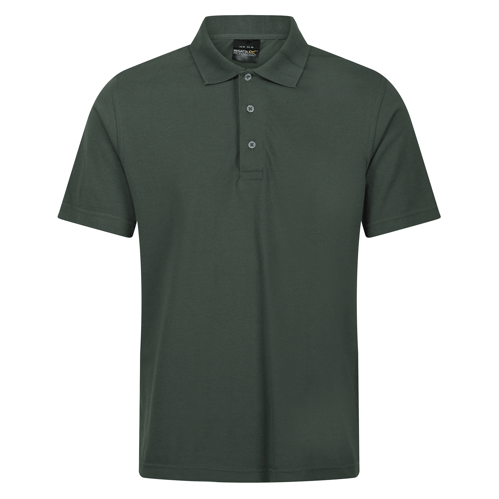 #colour_dark-green