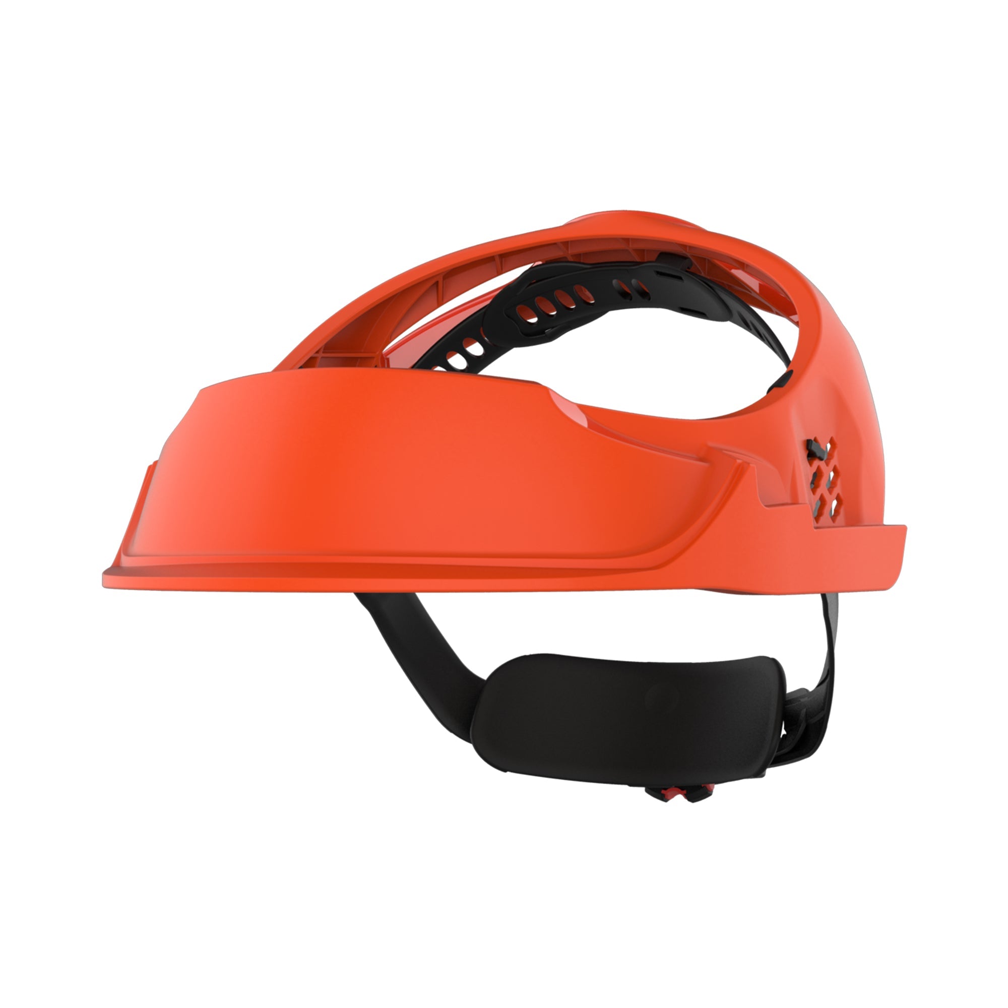 JSP EVOGuard Browguard