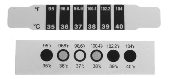 Beeswift Forehead Thermometer
