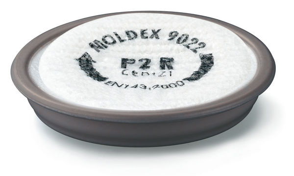 Beeswift Moldex 9022 P2R D + Ozone
