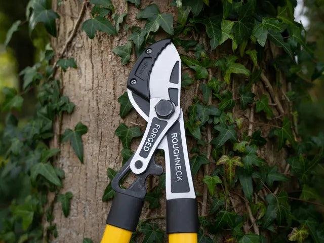 Roughneck XT Pro Telescopic Anvil Loppers 695 - 945mm