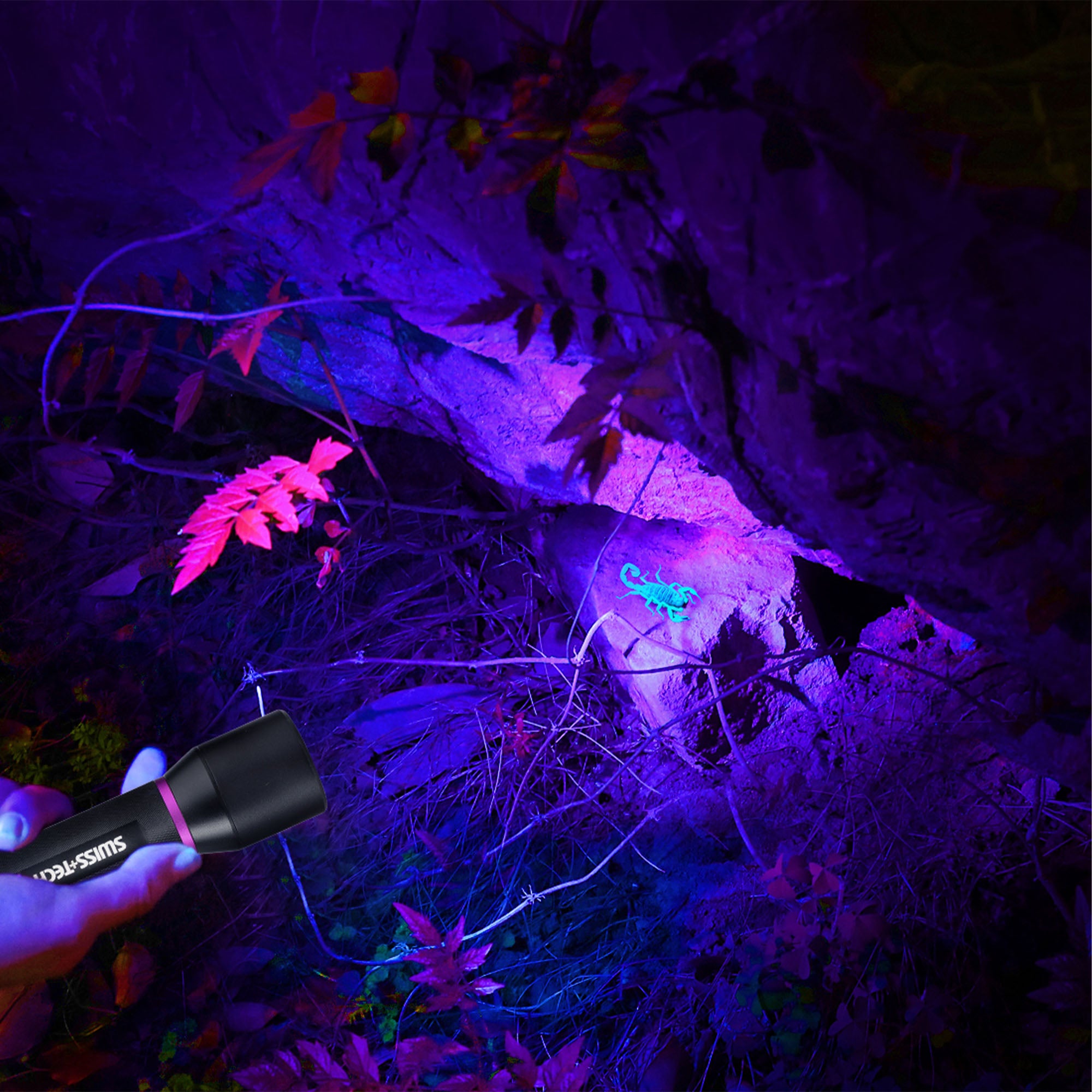 Scruffs Swiss-Tech UV Flashlight 3 x AAA Battery Powered - Leak Detection & Security Inspection